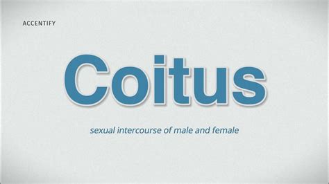 what is coitus|COITUS Definition & Meaning .